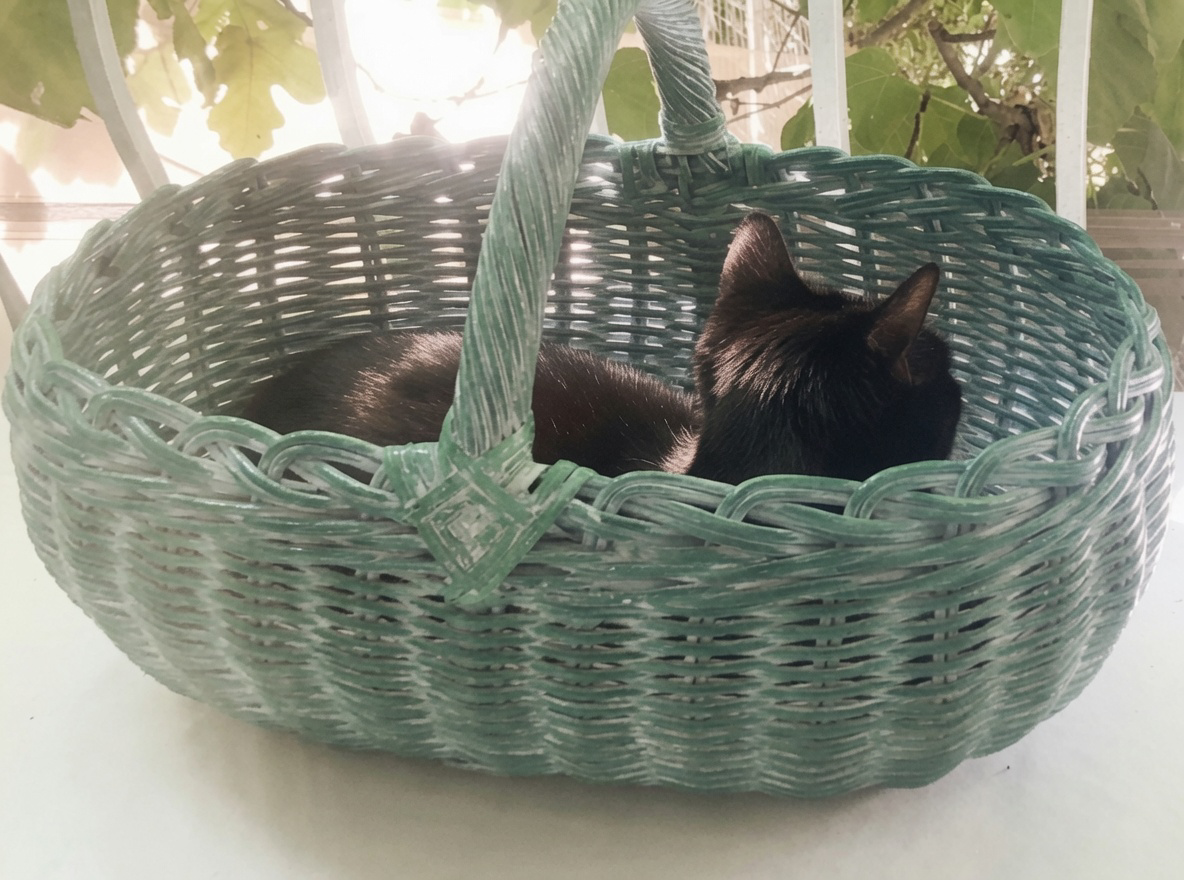 Minette